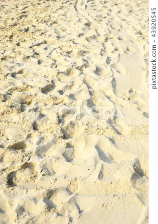 sand background sand background 43920545