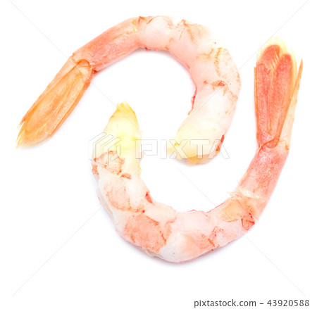 two shrimps 43920588