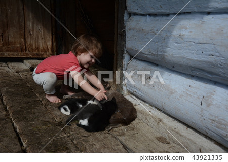 Beautiful girl in one of the Ukrainian villages Beautiful girl in one of the Ukrainian villages 43921335