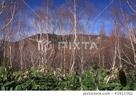 Road to the summit of Enayama 43921562