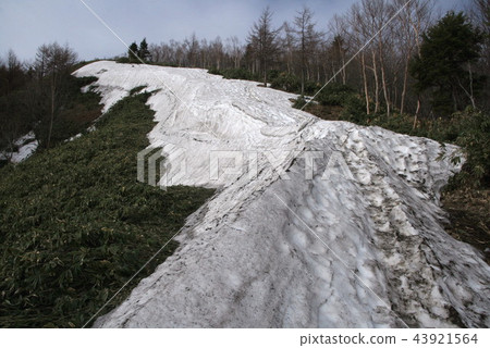 通往Ena山頂的道路雪山的殘餘 通往Ena山頂的道路雪山的殘餘 43921564