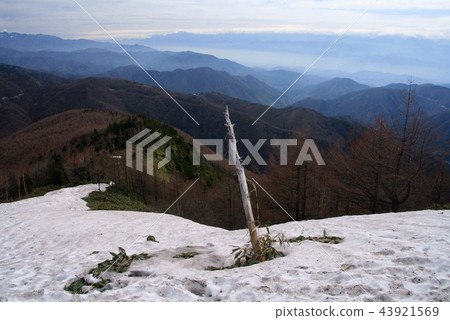 Road to the summit of Ena mountain Snow remnants of Haruyama Road to the summit of Ena mountain Snow remnants of Haruyama 43921569