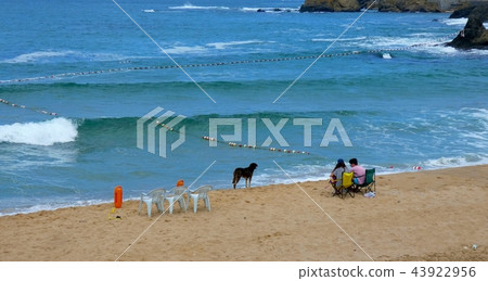 End of summer sea 43922956