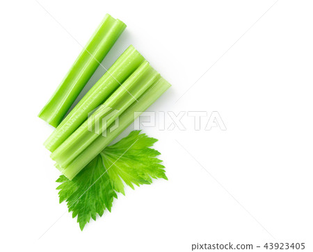 Fresh green celery leaves vegetable isolated Fresh green celery leaves vegetable isolated 43923405