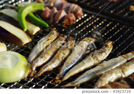 barbecue barbecue 43923720