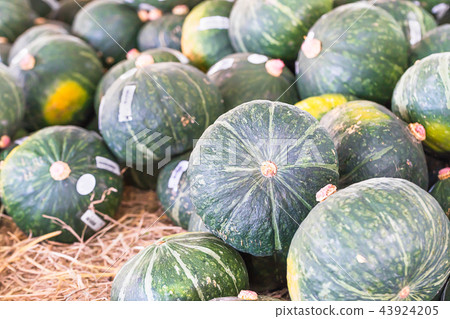 Bunch of green pumpkins for sale 43924205