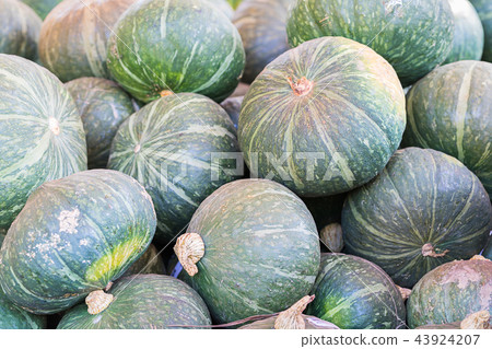 Bunch of green pumpkins for sale Bunch of green pumpkins for sale 43924207