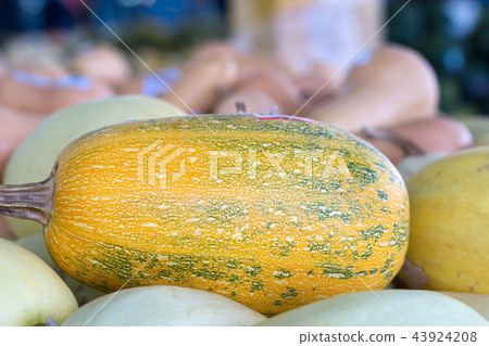 Bunch of orange pumpkins for sale 43924208