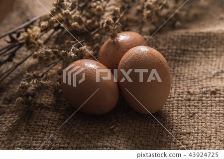 close up of eggs on the table 43924725
