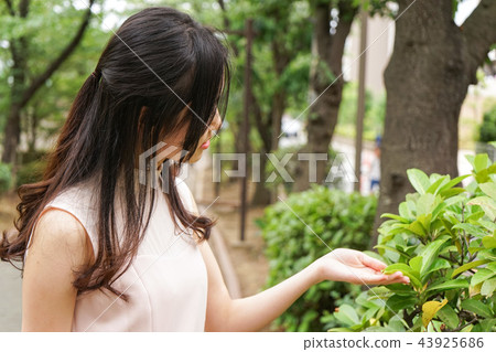 觀看植物的少婦 觀看植物的少婦 43925686