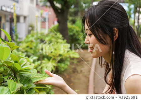 觀看植物的少婦 觀看植物的少婦 43925691