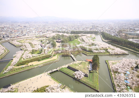 函館五棱郭公園 43926351