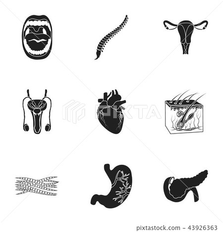 Organs set icons in black style. Big collection of organs vector symbol stock illustration Organs set icons in black style. Big collection of organs vector symbol stock illustration 43926363