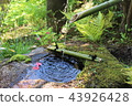 Japanese garden 43926428