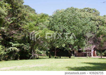 天神贊公園 43926735