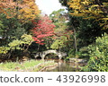  park 43926998