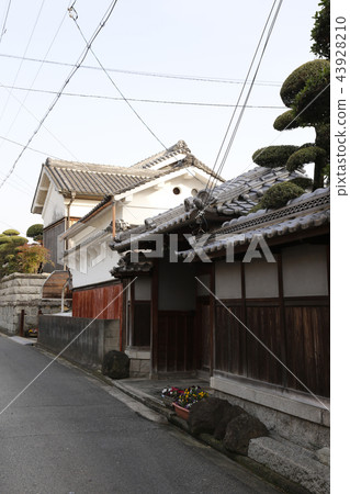 Kaminotako Asukato Shrine Sakura 43928210