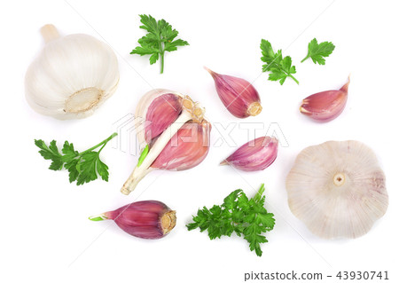 garlic with parsley leaves isolated on white background. Top view. Flat lay pattern 43930741