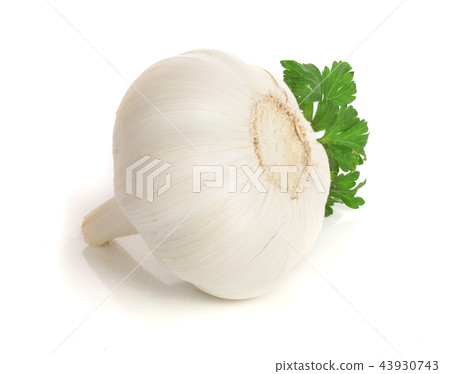 garlic with parsley leaf isolated on white background garlic with parsley leaf isolated on white background 43930743