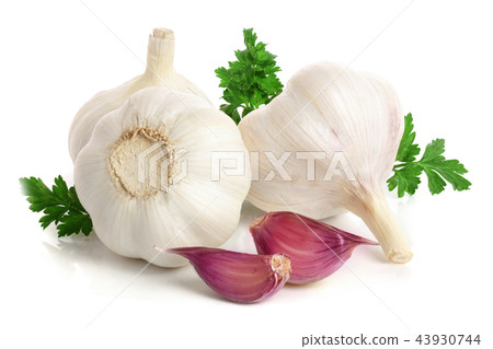garlic with parsley leaf isolated on white background garlic with parsley leaf isolated on white background 43930744