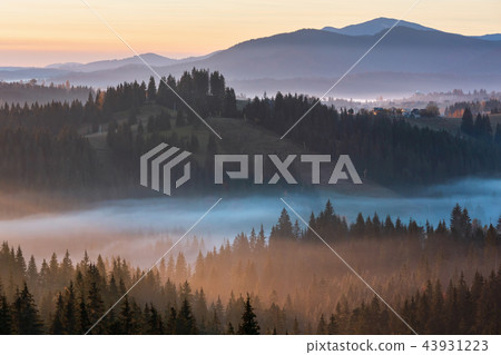 Early morning misty autumn Carpathian mountains 43931223