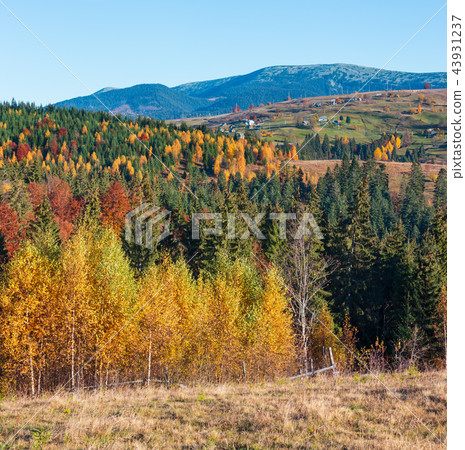 Autumn Carpathian village, Ukraine. Autumn Carpathian village, Ukraine. 43931237