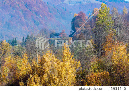 Autumn Carpathian mountains, Ukraine Autumn Carpathian mountains, Ukraine 43931240