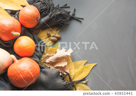 Fall still life, pumpkin, gray scarf on grey board 43931441