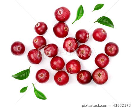 Cranberry with leaf isolated on white background closeup top view 43932173