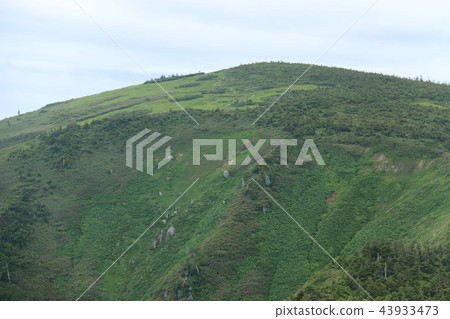 越後路到Hiragatake山頂 越後路到Hiragatake山頂 43933473