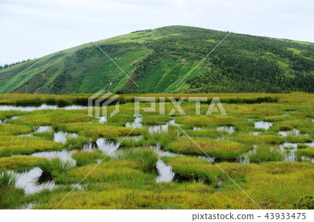 Echigo Road to the peak of Hiragatake mountain peak of Ikenotake wetland Echigo Road to the peak of Hiragatake mountain peak of Ikenotake wetland 43933475