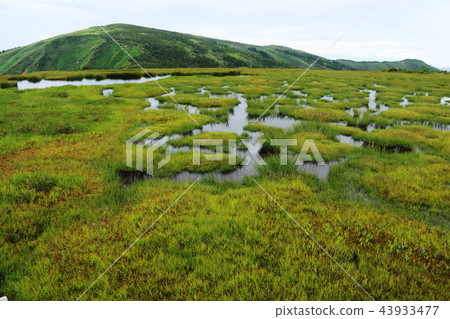 Echigo Road to the peak of Hiragatake mountain peak of Ikenotake wetland Echigo Road to the peak of Hiragatake mountain peak of Ikenotake wetland 43933477
