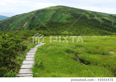Road to Echigo Hiragatake Peak Hiragatake over Ikenotake Kodo Road to Echigo Hiragatake Peak Hiragatake over Ikenotake Kodo 43933478