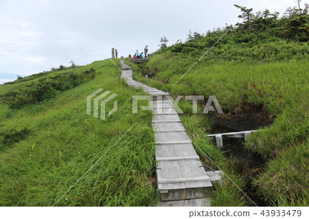 越後路到Hiragatake山頂 越後路到Hiragatake山頂 43933479