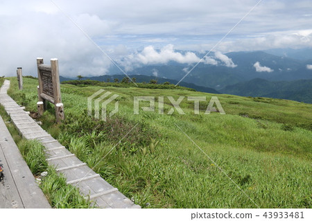 Echigo landscape of Hiragatake summit tree path and mountains of Echigo Echigo landscape of Hiragatake summit tree path and mountains of Echigo 43933481