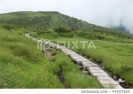 Road to Echigo Hiragatake summit Road to Echigo Hiragatake summit 43933489