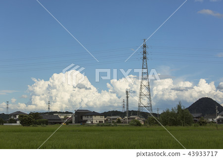 雲和稻田 雲和稻田 43933717