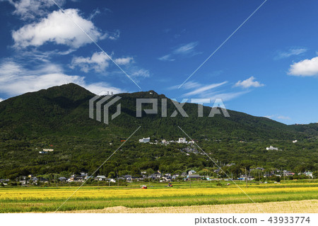 筑波山收获季节 图库照片