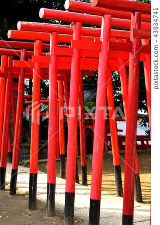Ana Inari Shrine (Shinagawa Shrine) 43934741