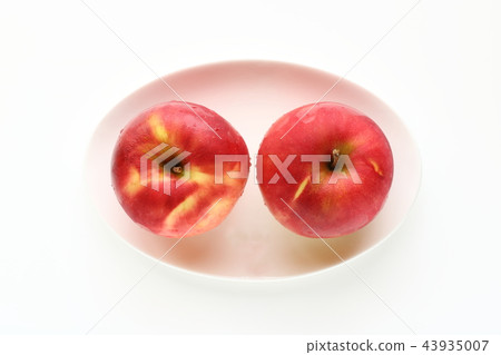 太陽升起了 43935007