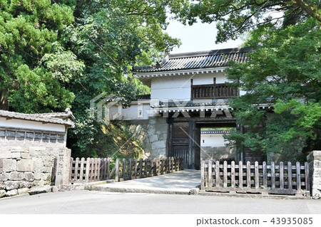 Kafei Castle in the early summer 43935085