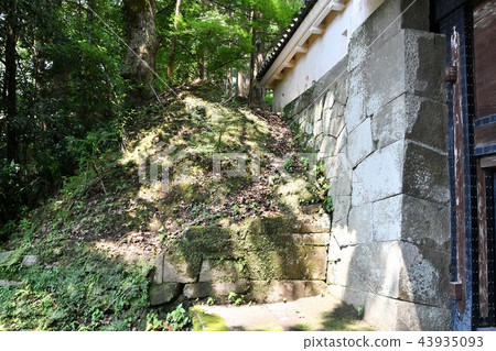 Kafei Castle in the early summer Kafei Castle in the early summer 43935093