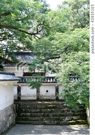 卡菲城堡初夏 43935103