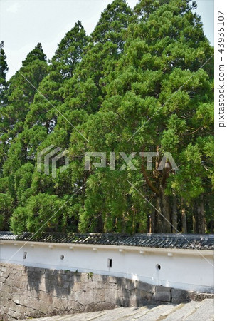 Kafei Castle in the early summer 43935107