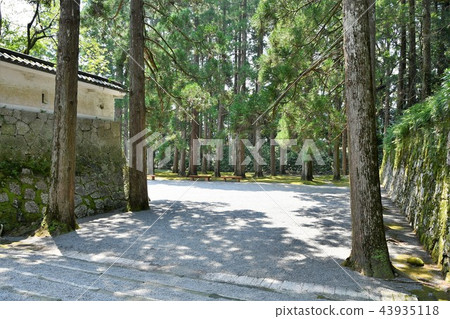 Kafei Castle in the early summer 43935118