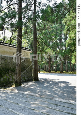 Kafei Castle in the early summer 43935119