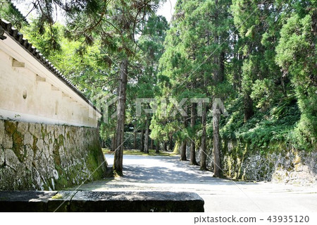 Kafei Castle in the early summer Kafei Castle in the early summer 43935120