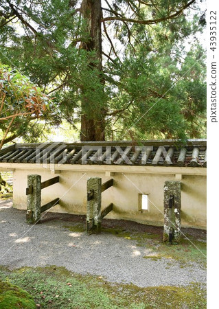 Kafei Castle in the early summer 43935122