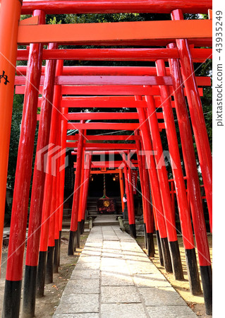 Ana Inari Shrine (Shinagawa Shrine) 43935249