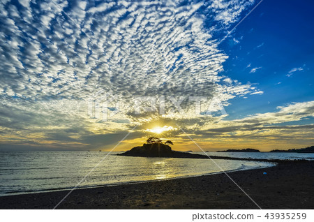 Pine, Solsum, Songsan Peninsula, Buan-gun, Jeonbuk 43935259